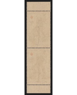 n°1049a paire verticale de carnet, Croix-Rouge 1955, neuf ** sans charnière TB