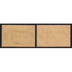 n°610c, variété "gris-noir" + normal, Chenonceaux, neufs ** signé A.BRUN - TB