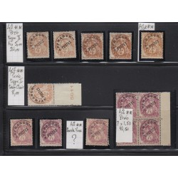 Collection Type Blanc 1900, plus de 200 timbres tous neufs **/* - TTB