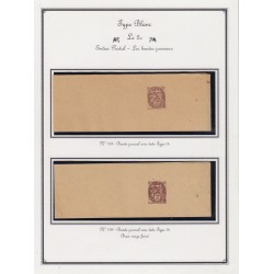 Collection Type Blanc 1900, plus de 200 timbres tous neufs **/* - TTB