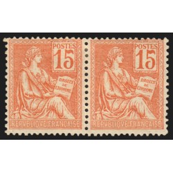 n°117a, variété "chiffre 1 touchant le cadre" tenant à normal, neuf * - TTB