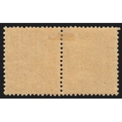 n°117a, variété "chiffre 1 touchant le cadre" tenant à normal, neuf * - TTB