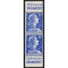n°1011Bc, Type II, bandes publicitaires "Grammont / Grammont", neuf ** - TB