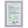 Ballon monté "Le Général Cambronne" pour l'île de Jersey - TB - Certificats